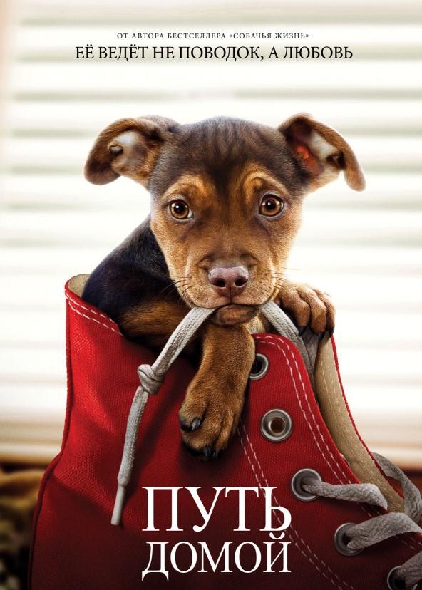 Фильм Путь домой (2019) смотреть онлайн в хорошем качестве